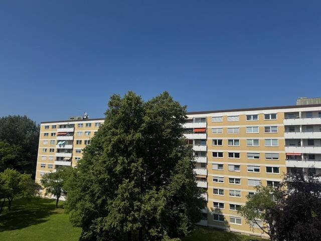 image-66255458
