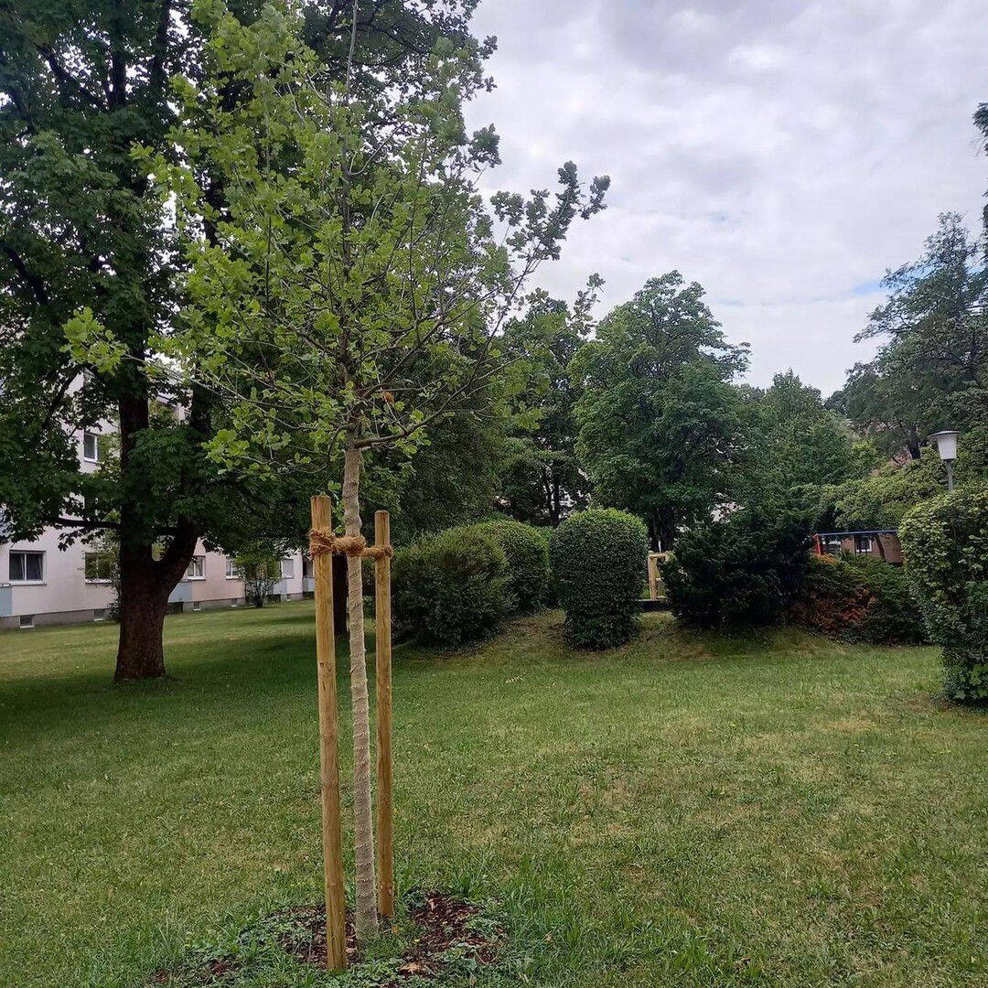 image-67915723