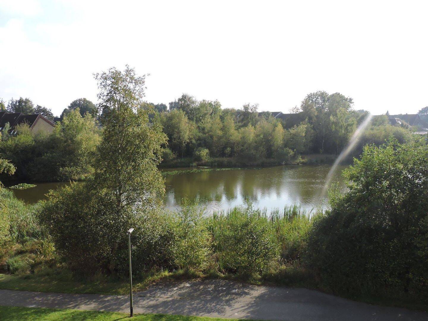 image-67939777
