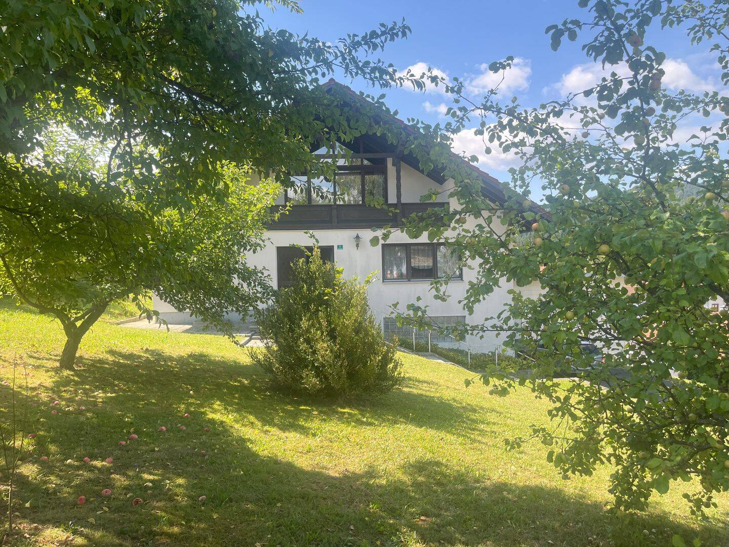 image-67944196