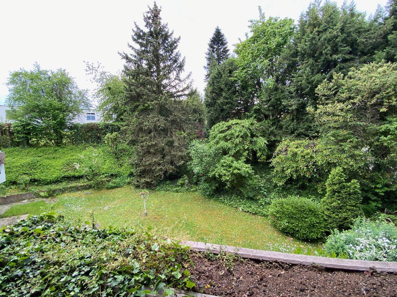 image-67944544