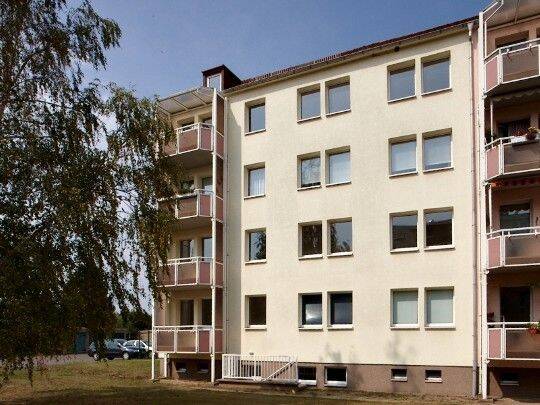 image-67960391