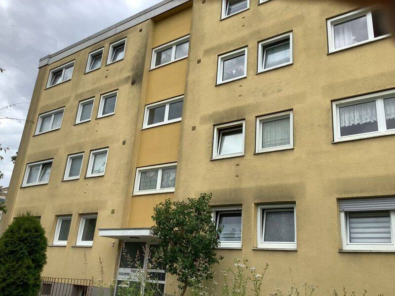 image-67968243