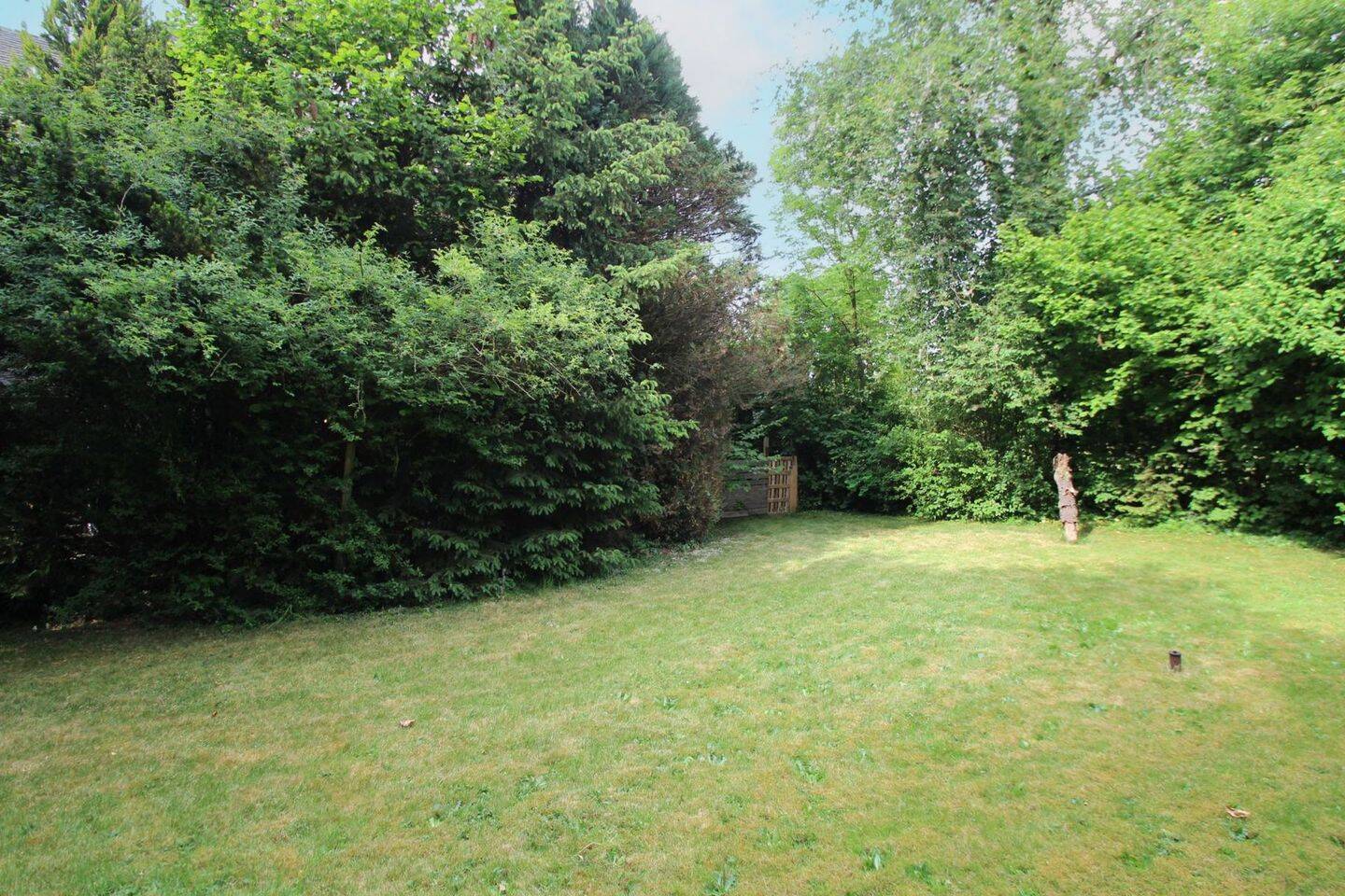 image-67970316