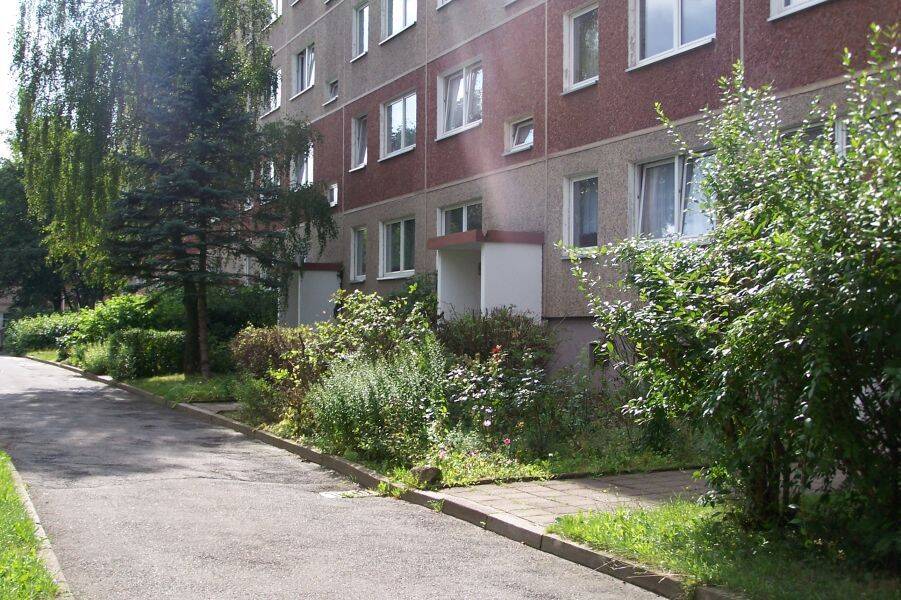 image-67978622