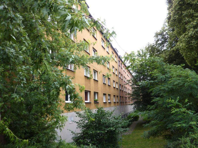 image-67982654