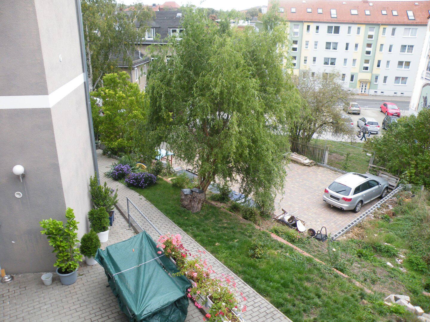 image-67982936
