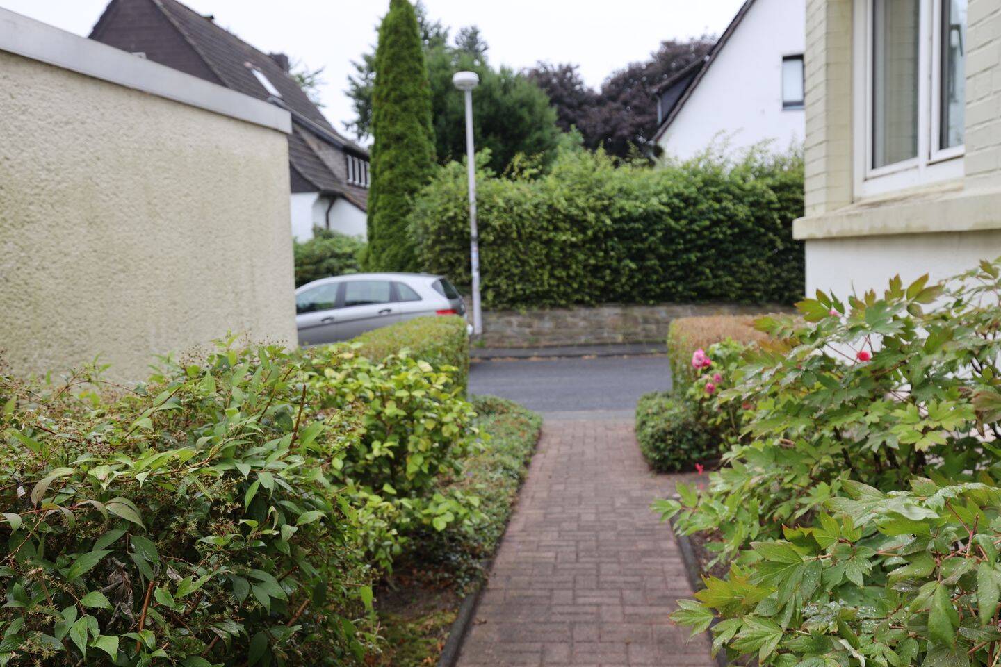 image-68020135