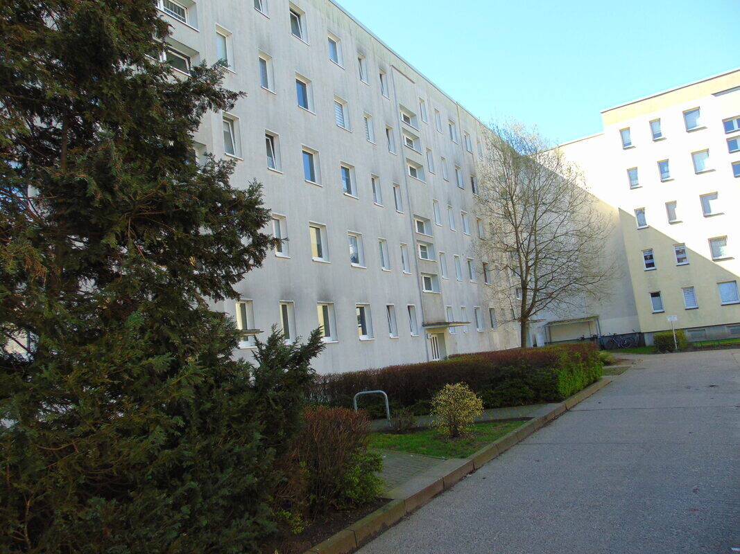 image-68045360