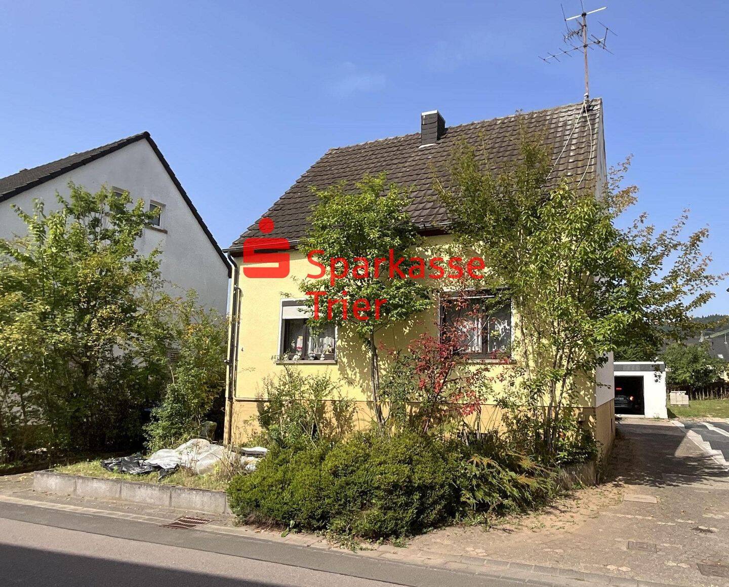 image-68059077