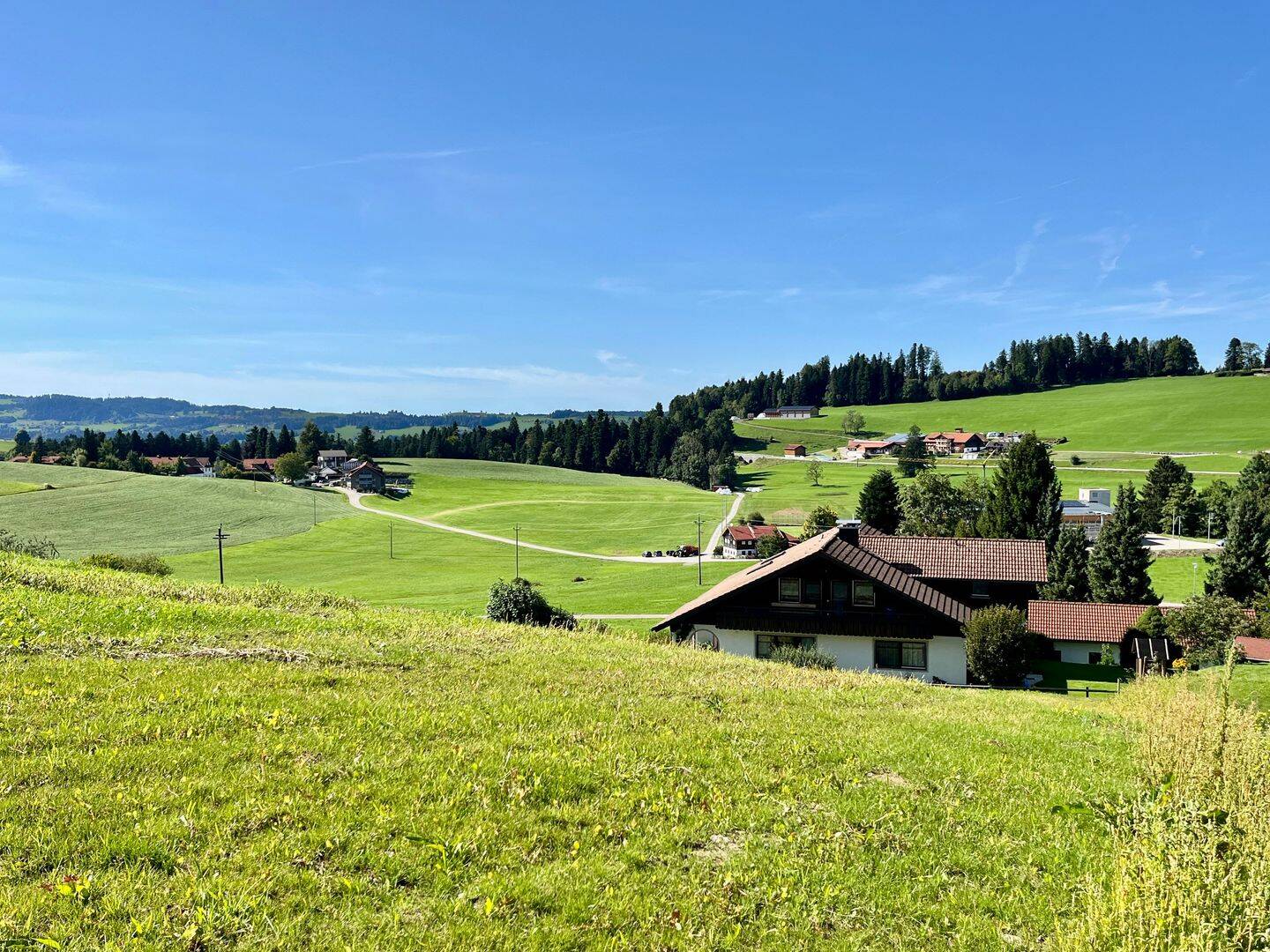 image-68061143