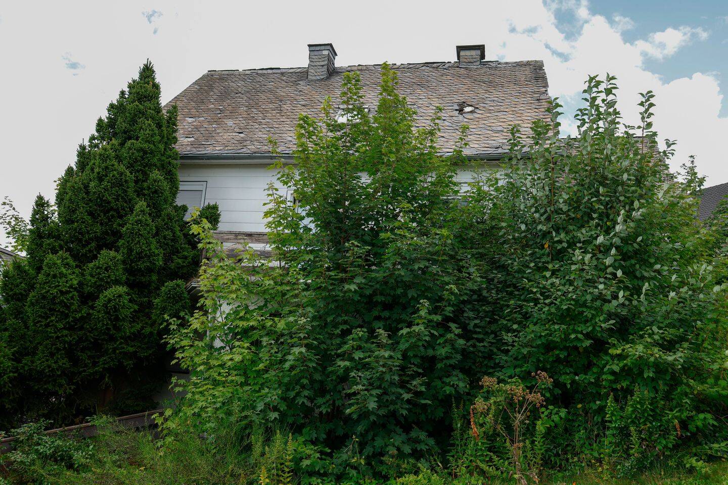 image-68064320