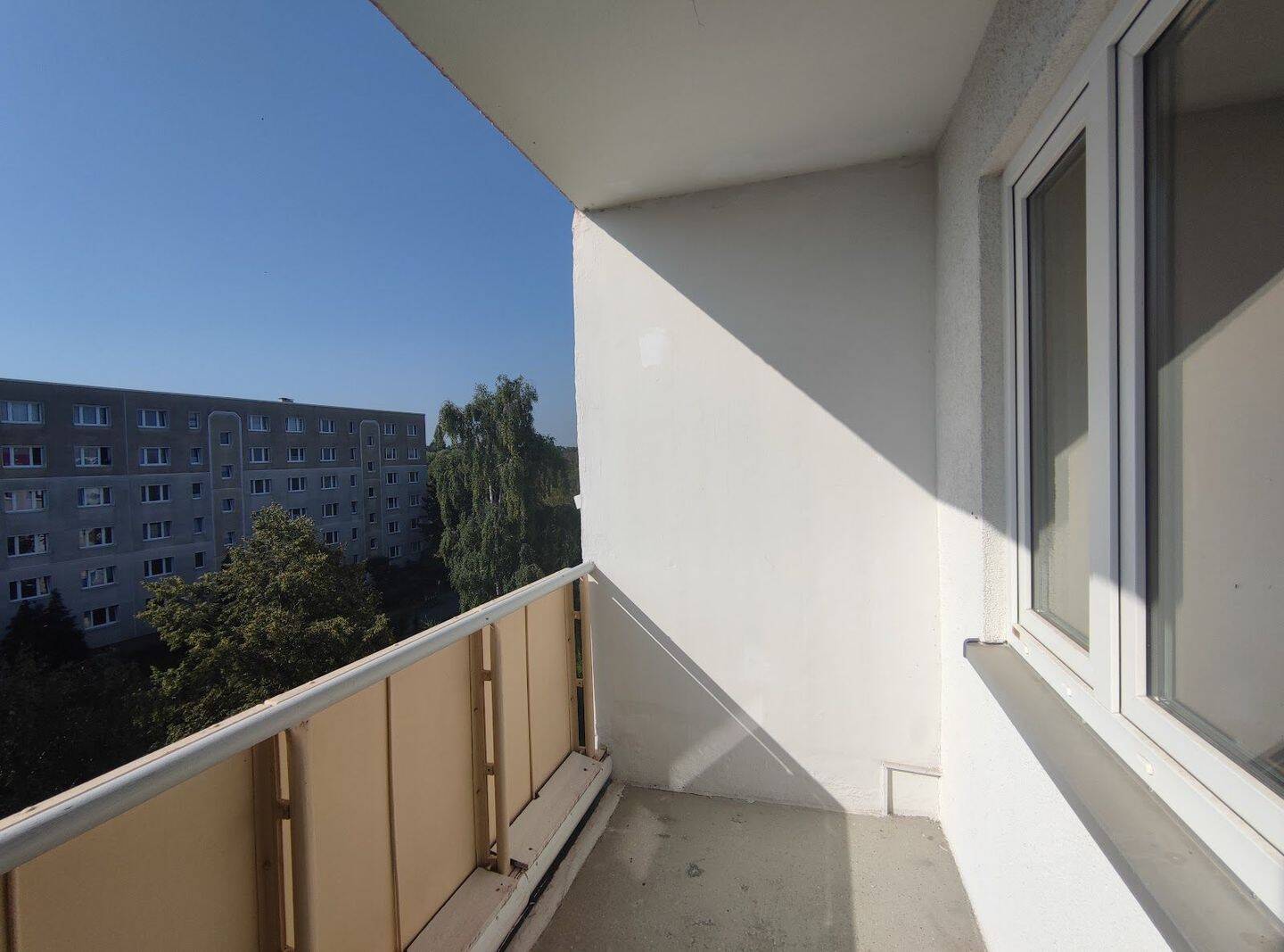 image-68066205