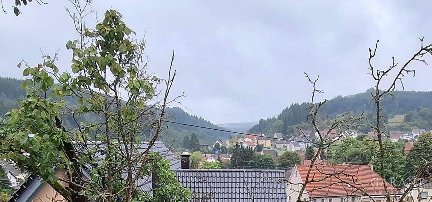 image-68071607