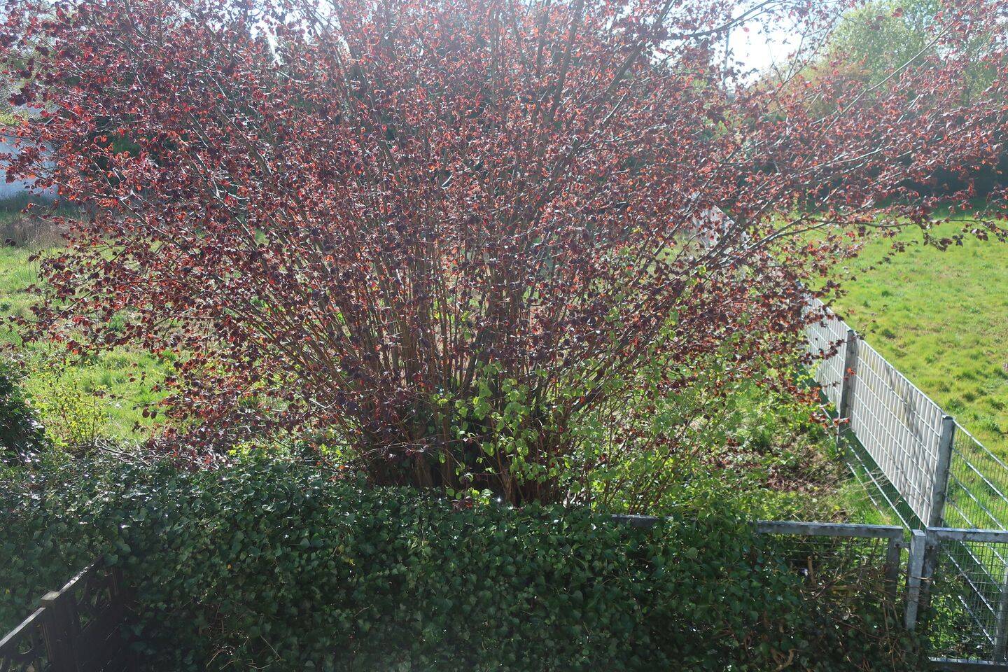 image-68071733