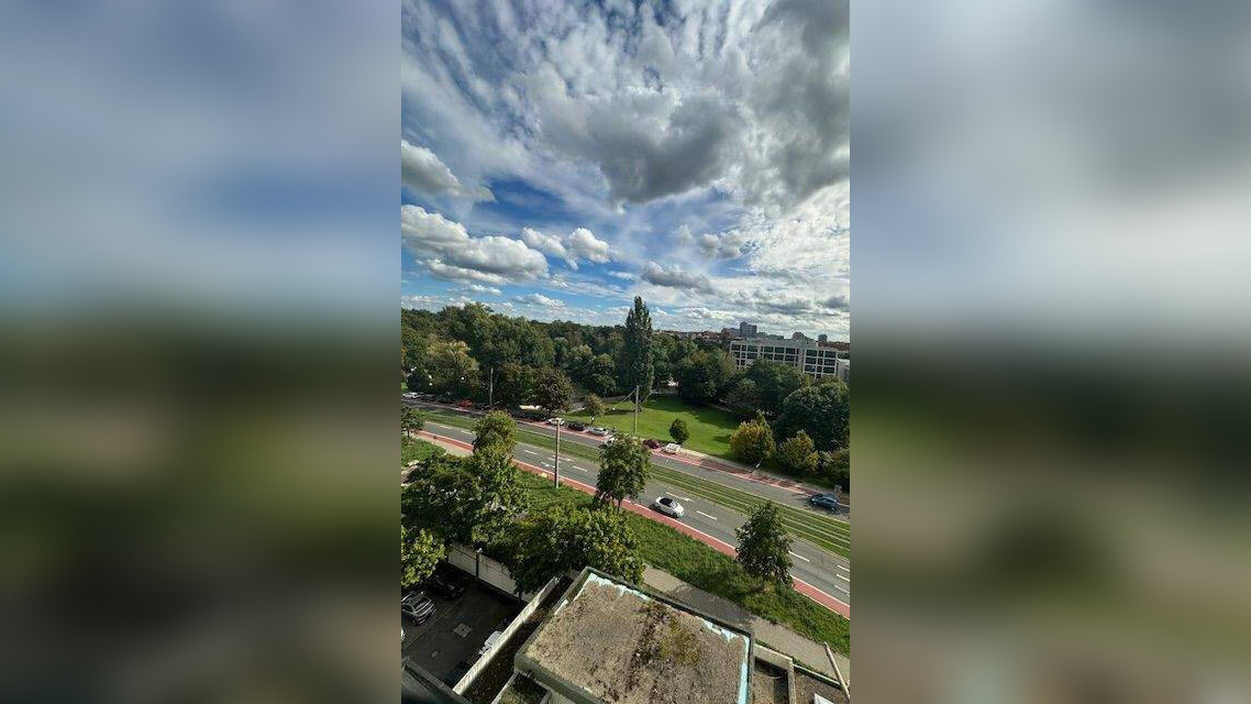 image-68082254