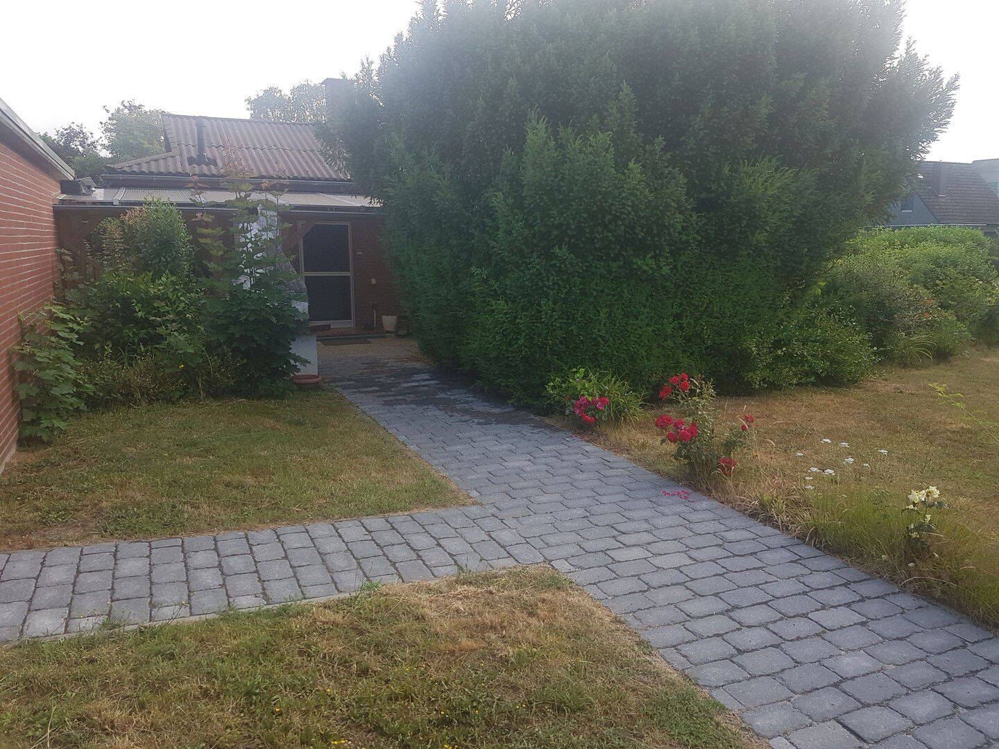 image-68119279