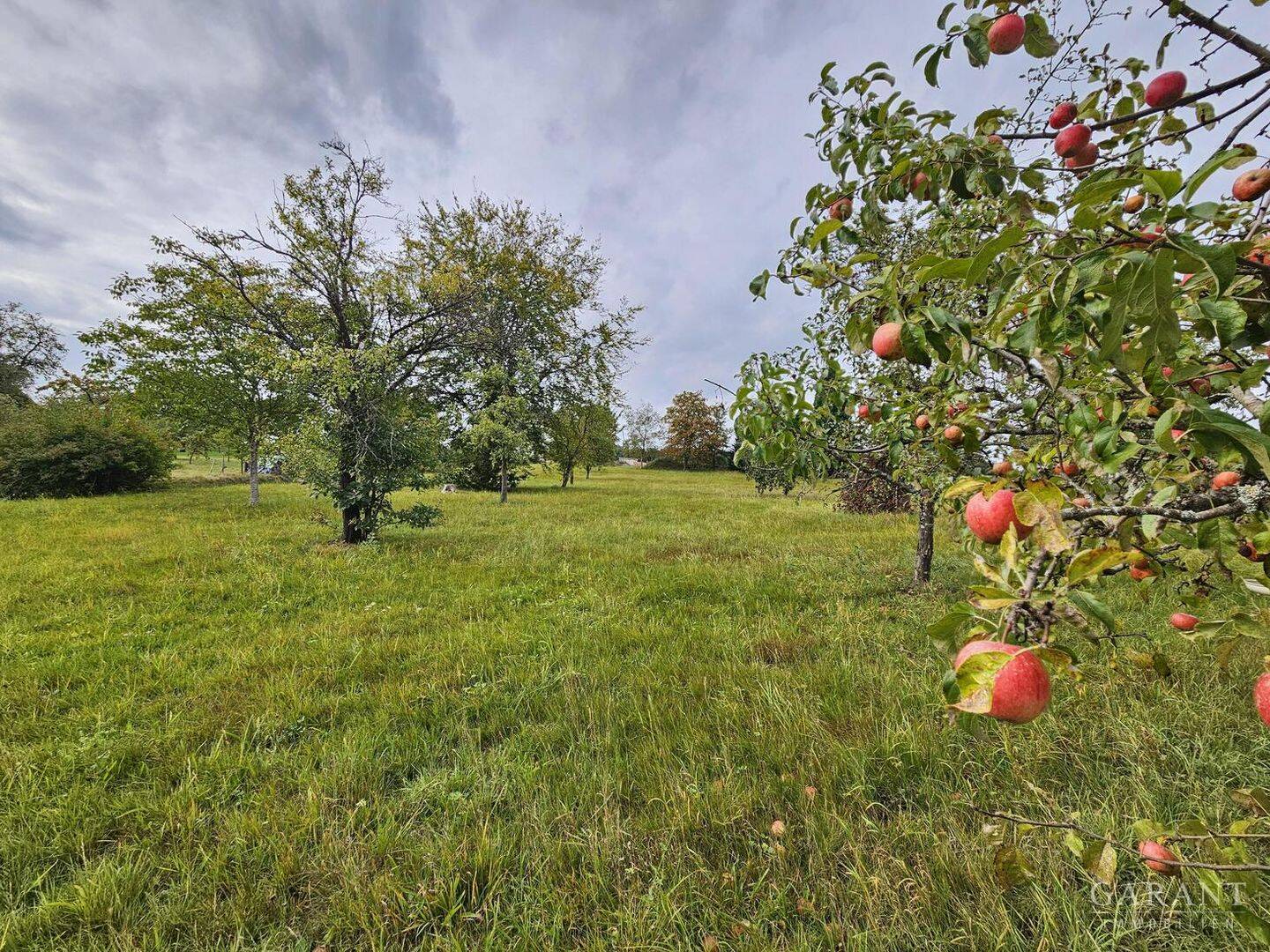 image-68132771