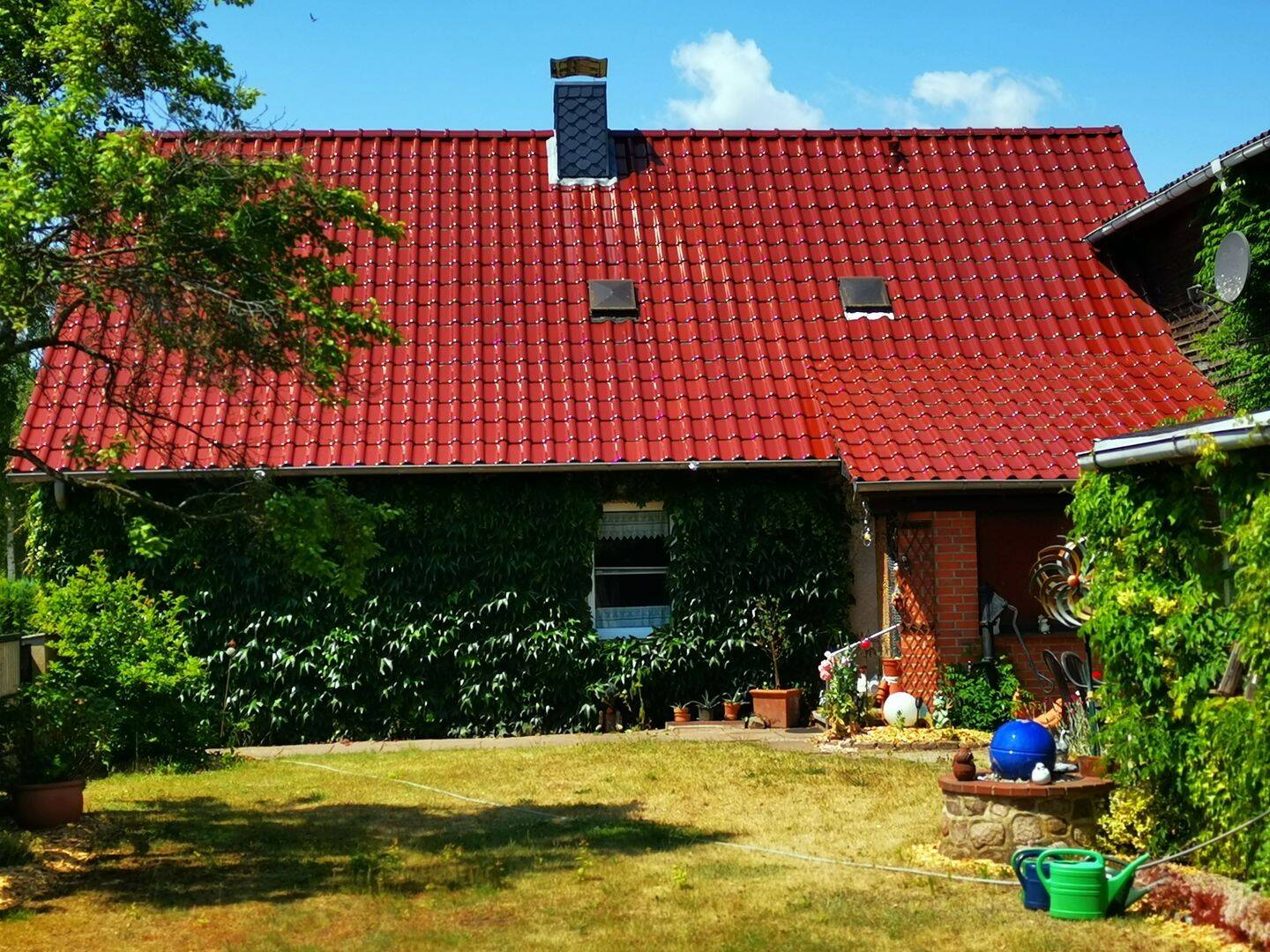 Bild 1