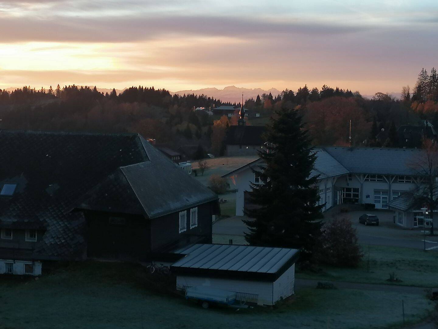 image-68159155