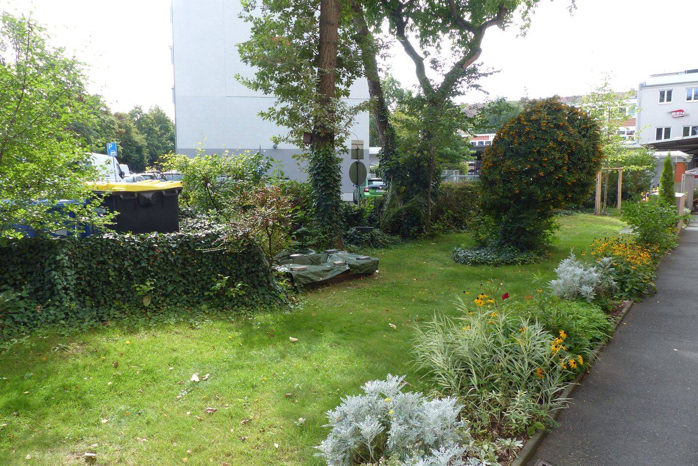 image-68162249