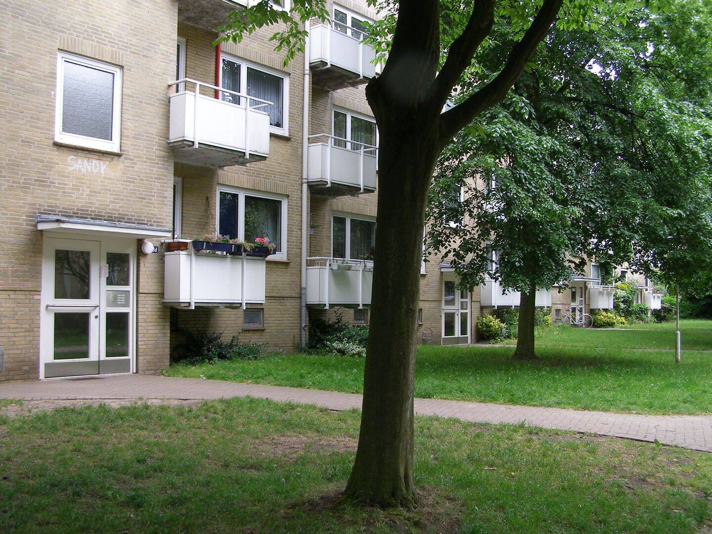 image-68166765