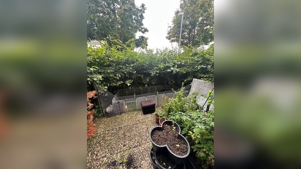 image-68208507