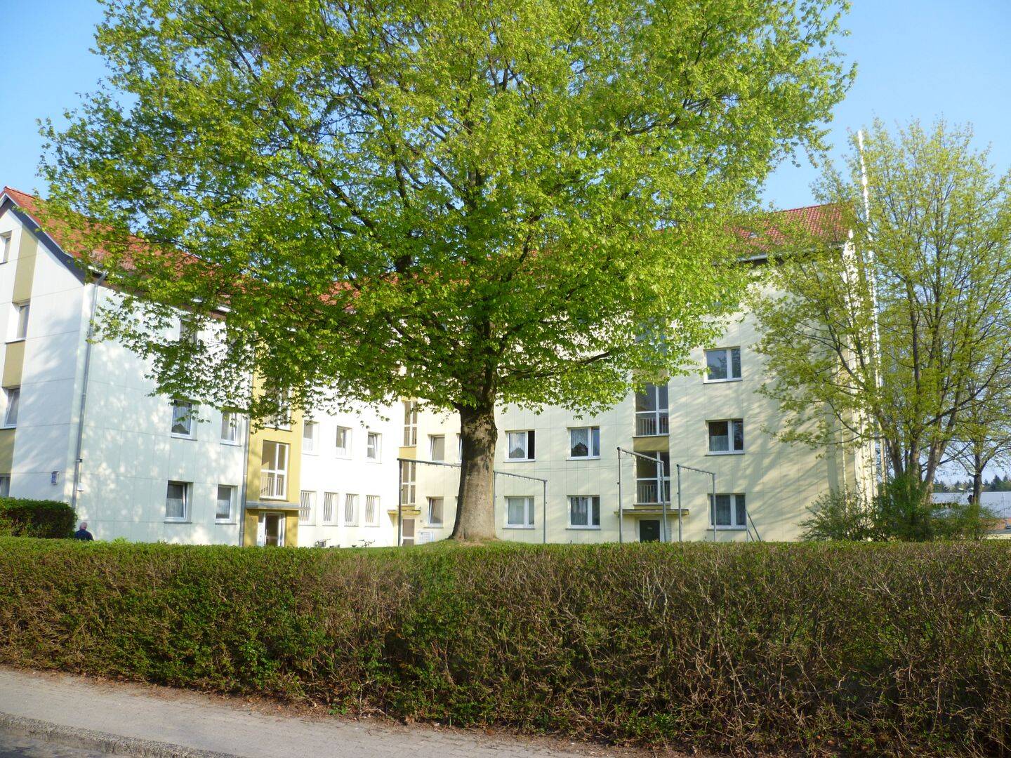 image-68240406