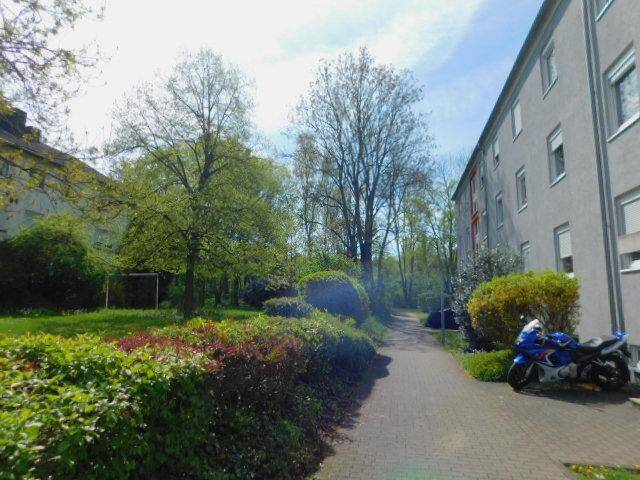 image-68247447
