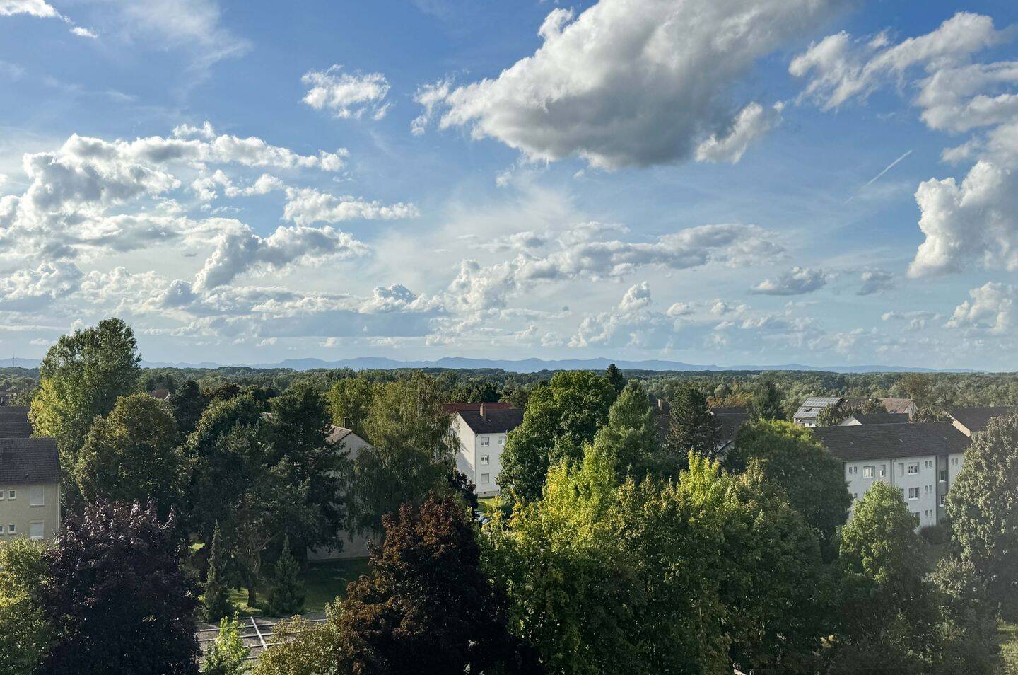 image-68248202