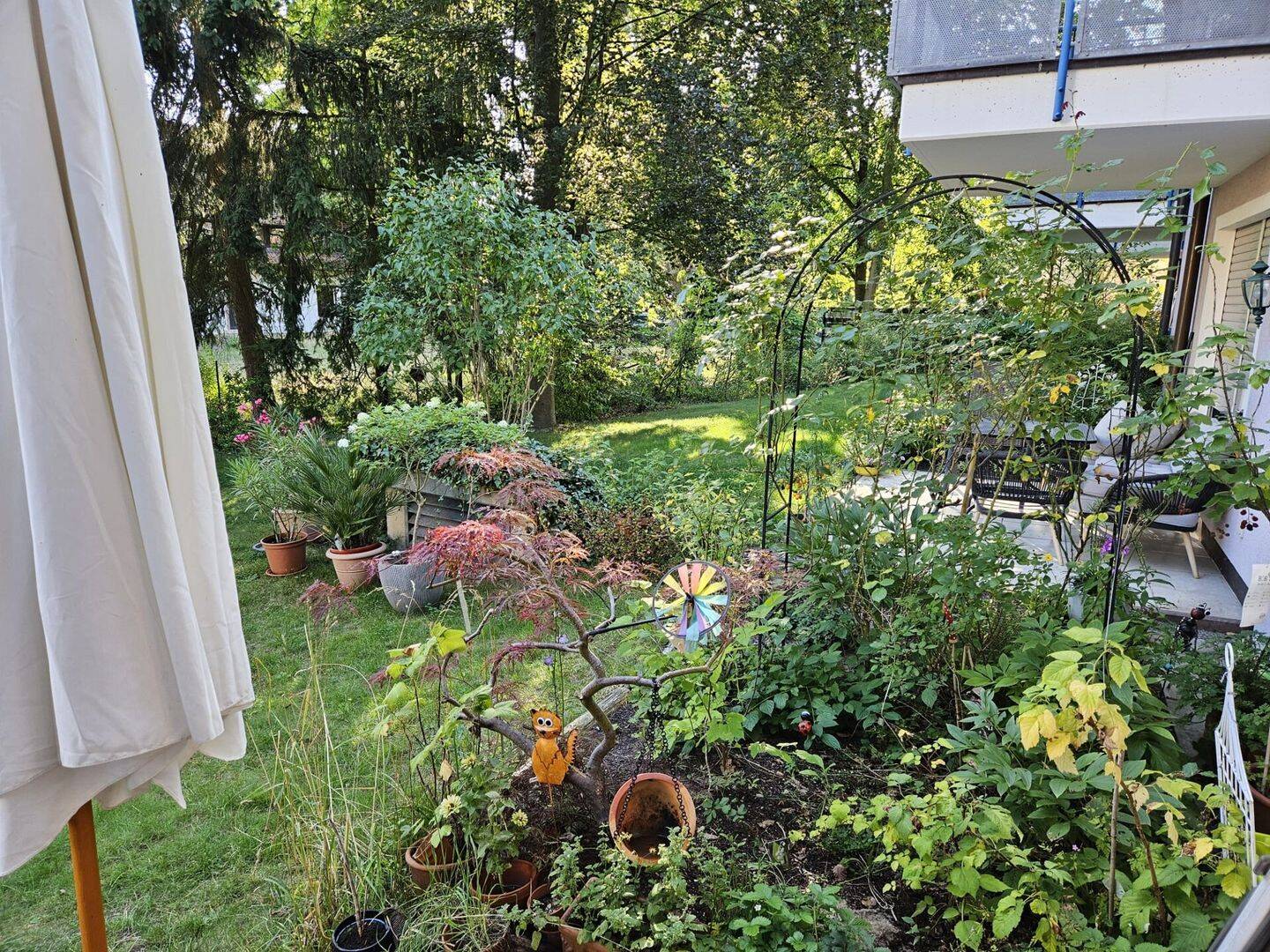 image-68254711