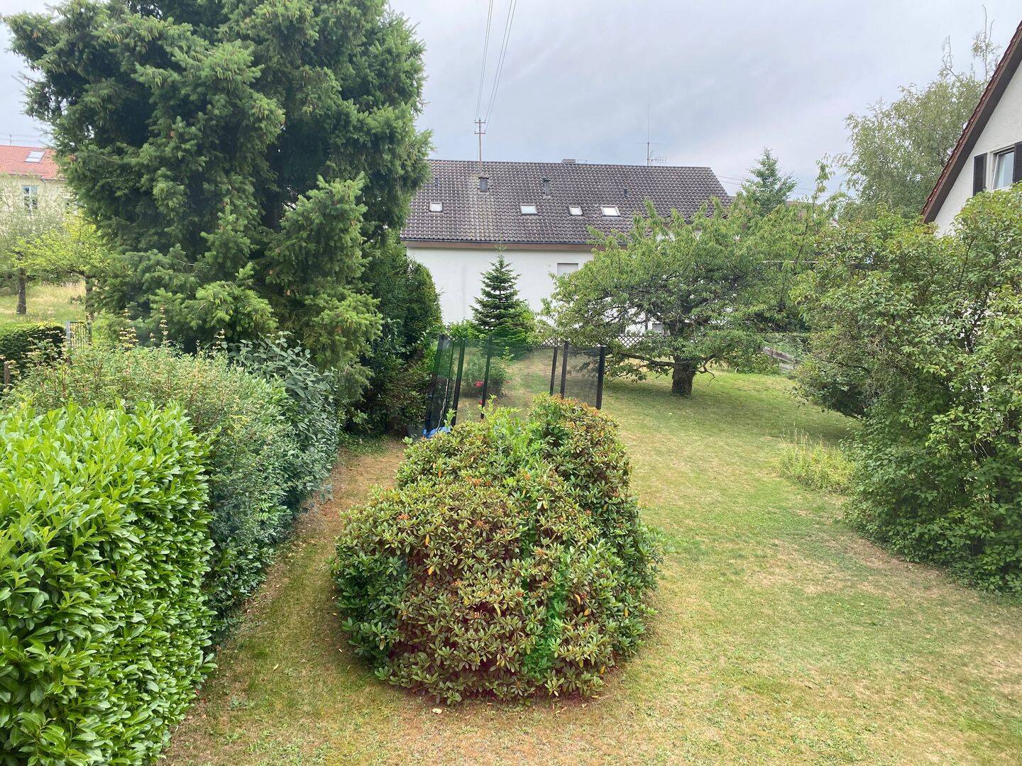 image-68259076