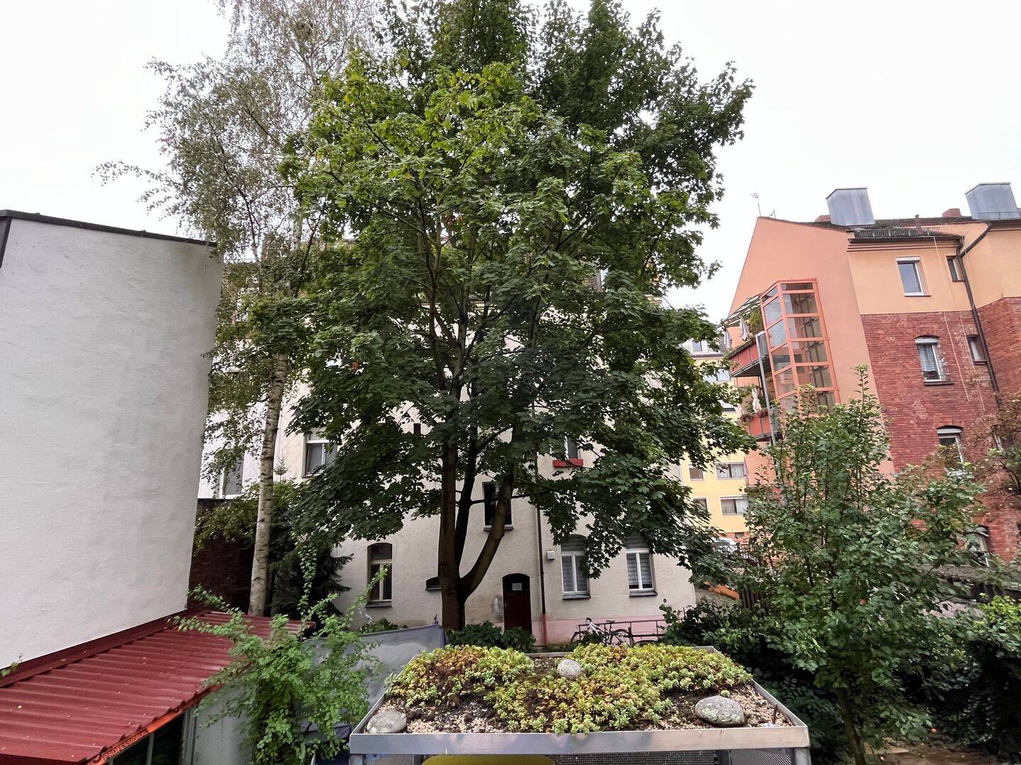 image-68289658