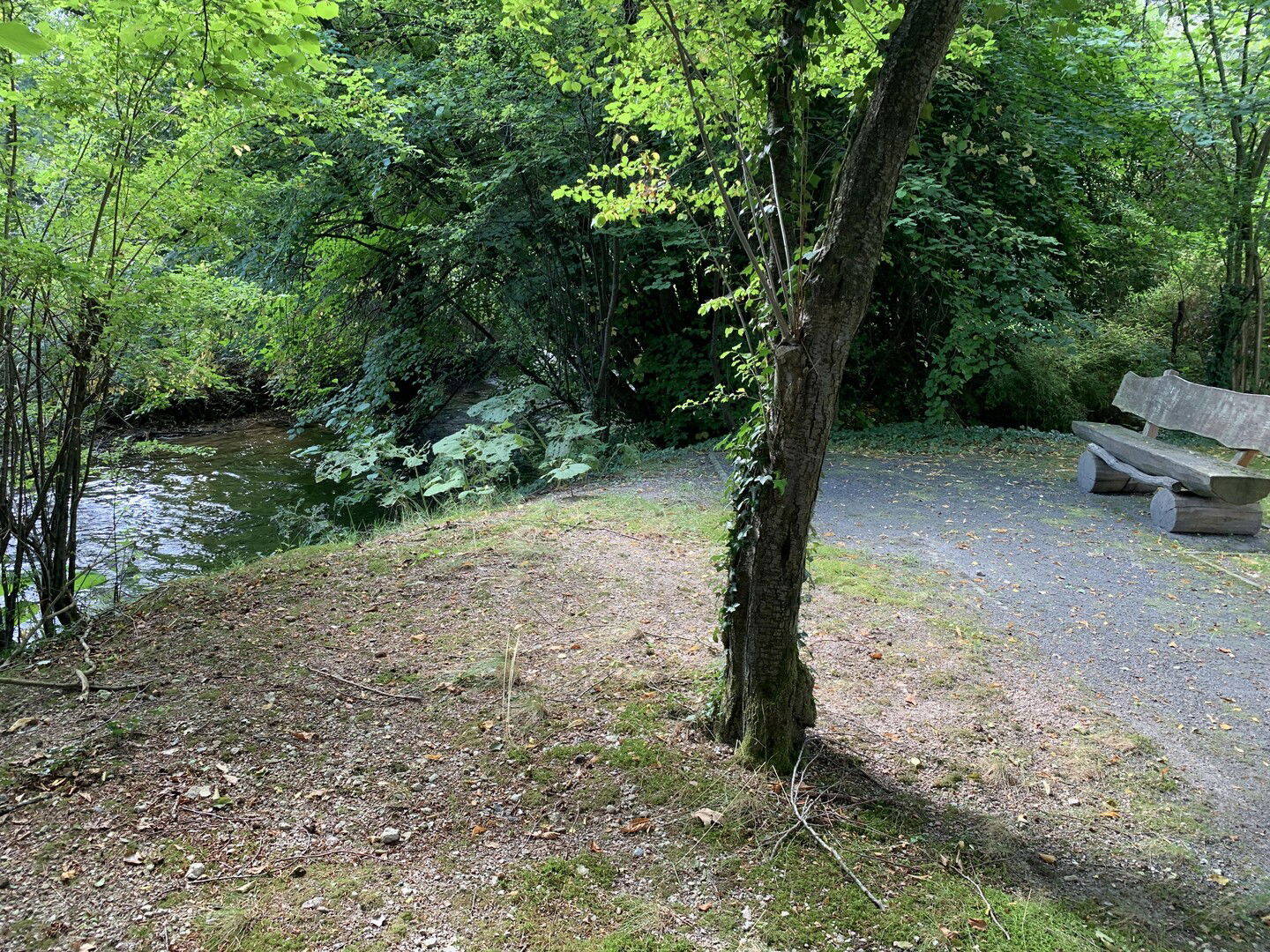image-68338733