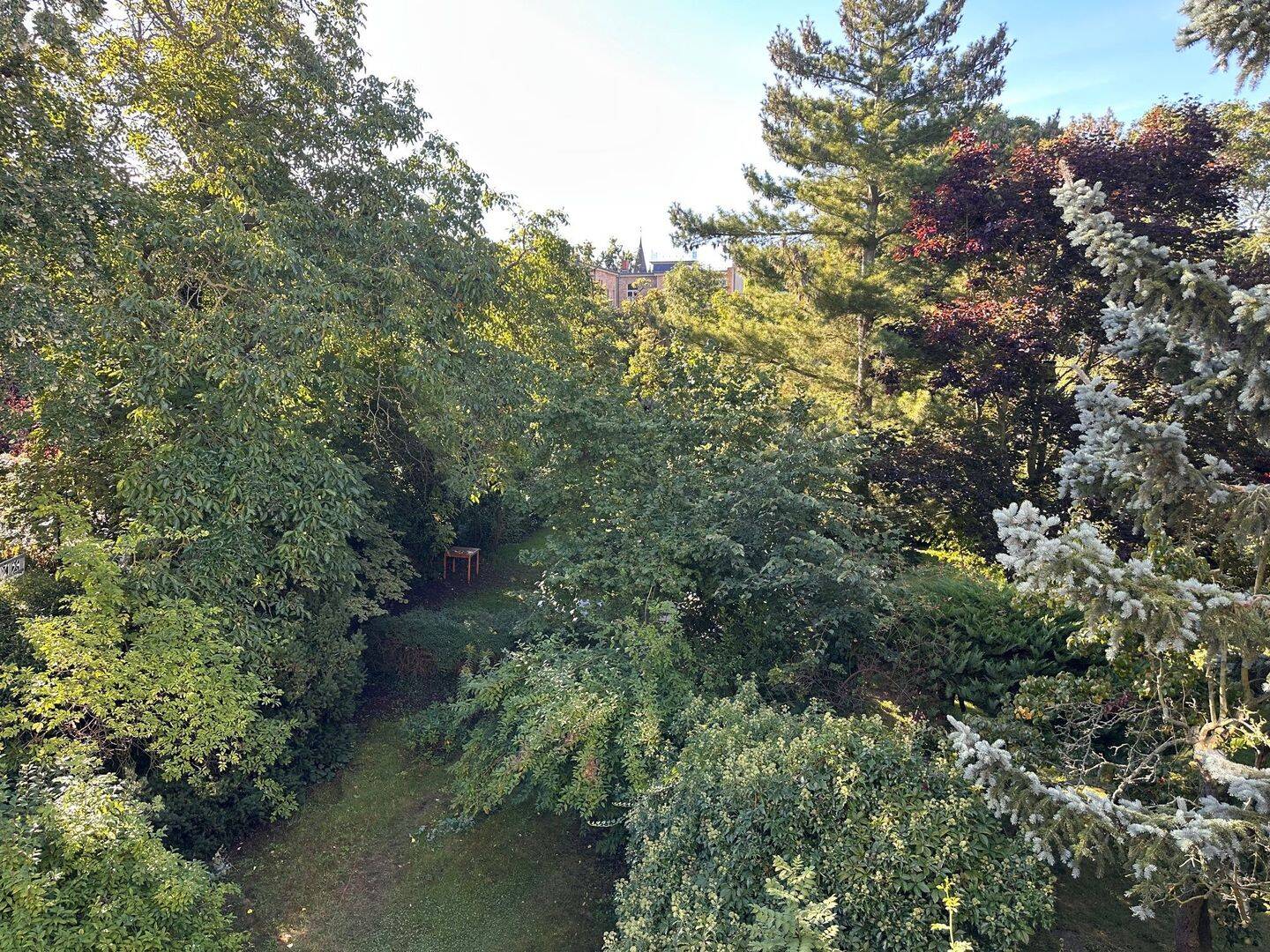 image-68352622