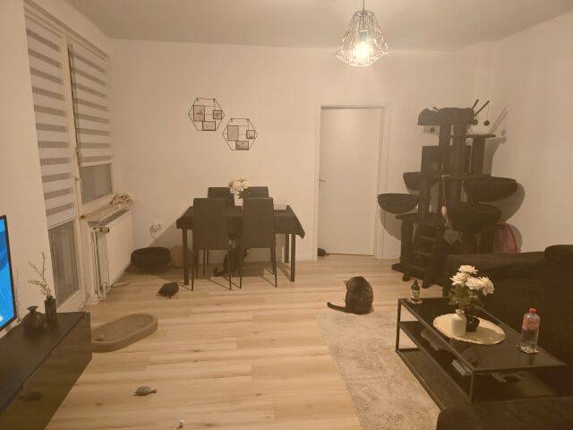 image-68352745