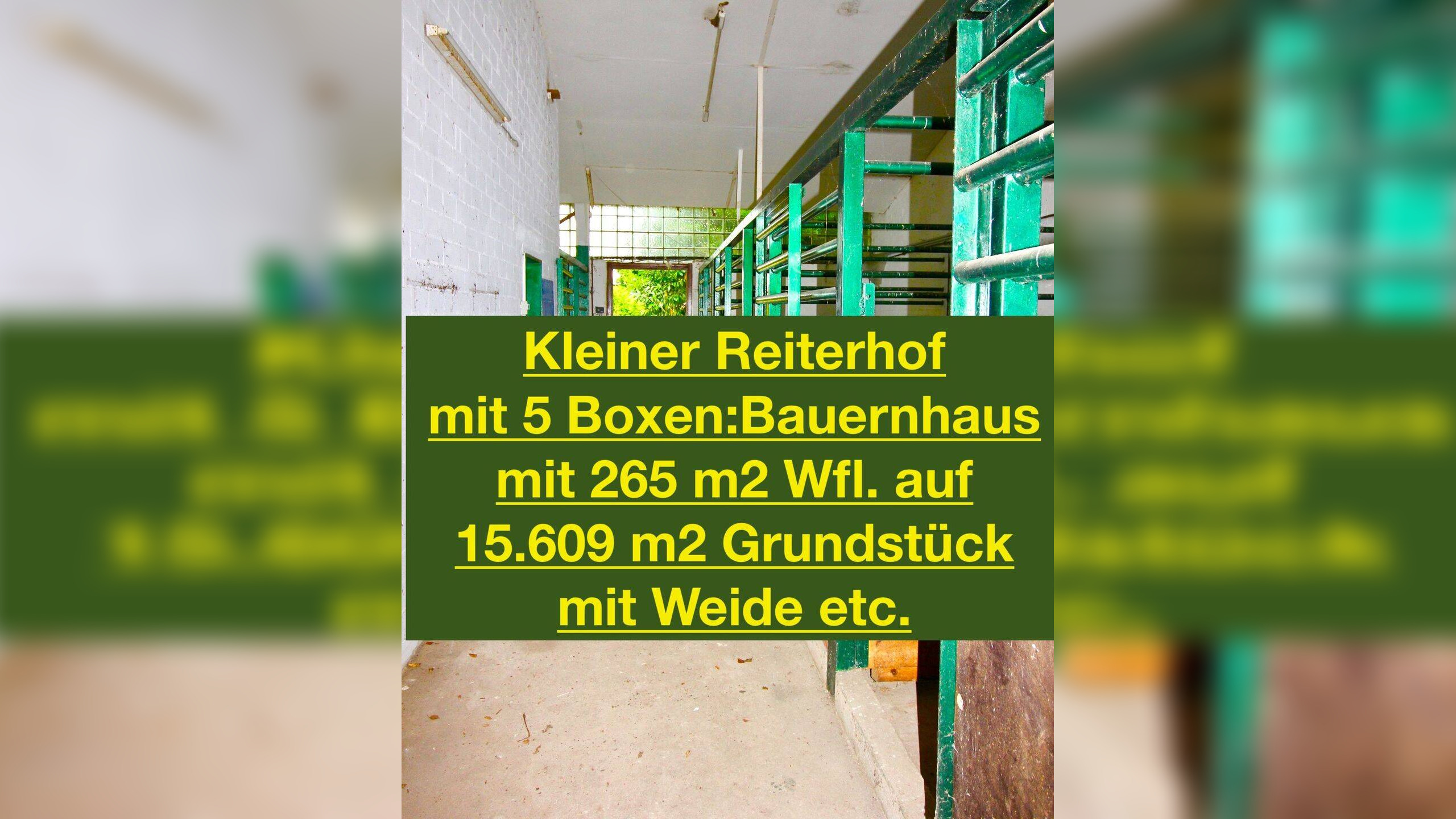 image-68386700
