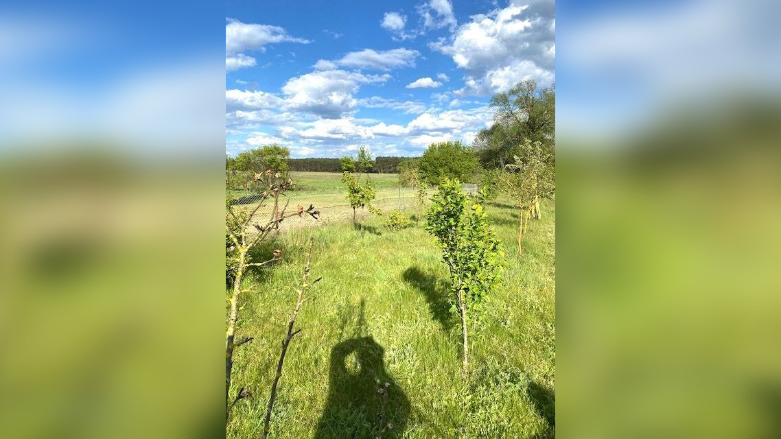 image-68408578