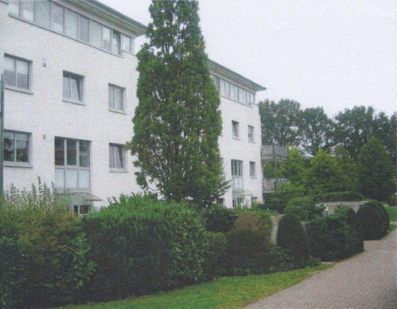 image-68409130