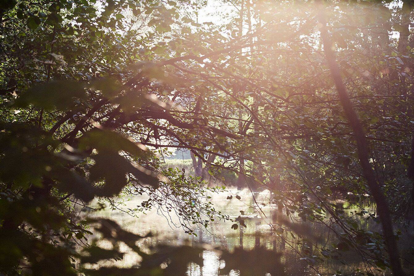 image-68425633