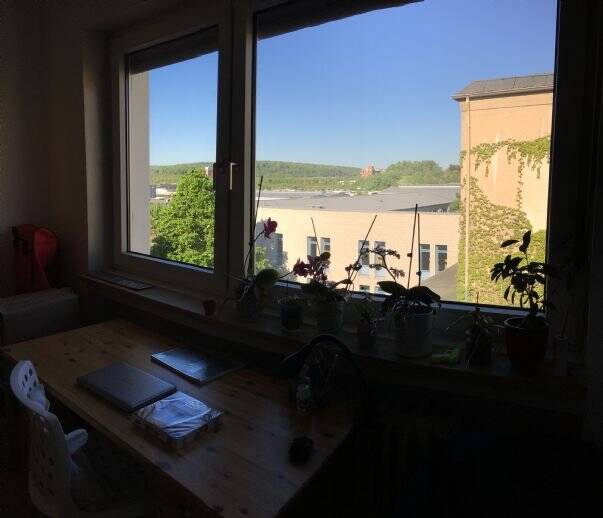 image-68431256