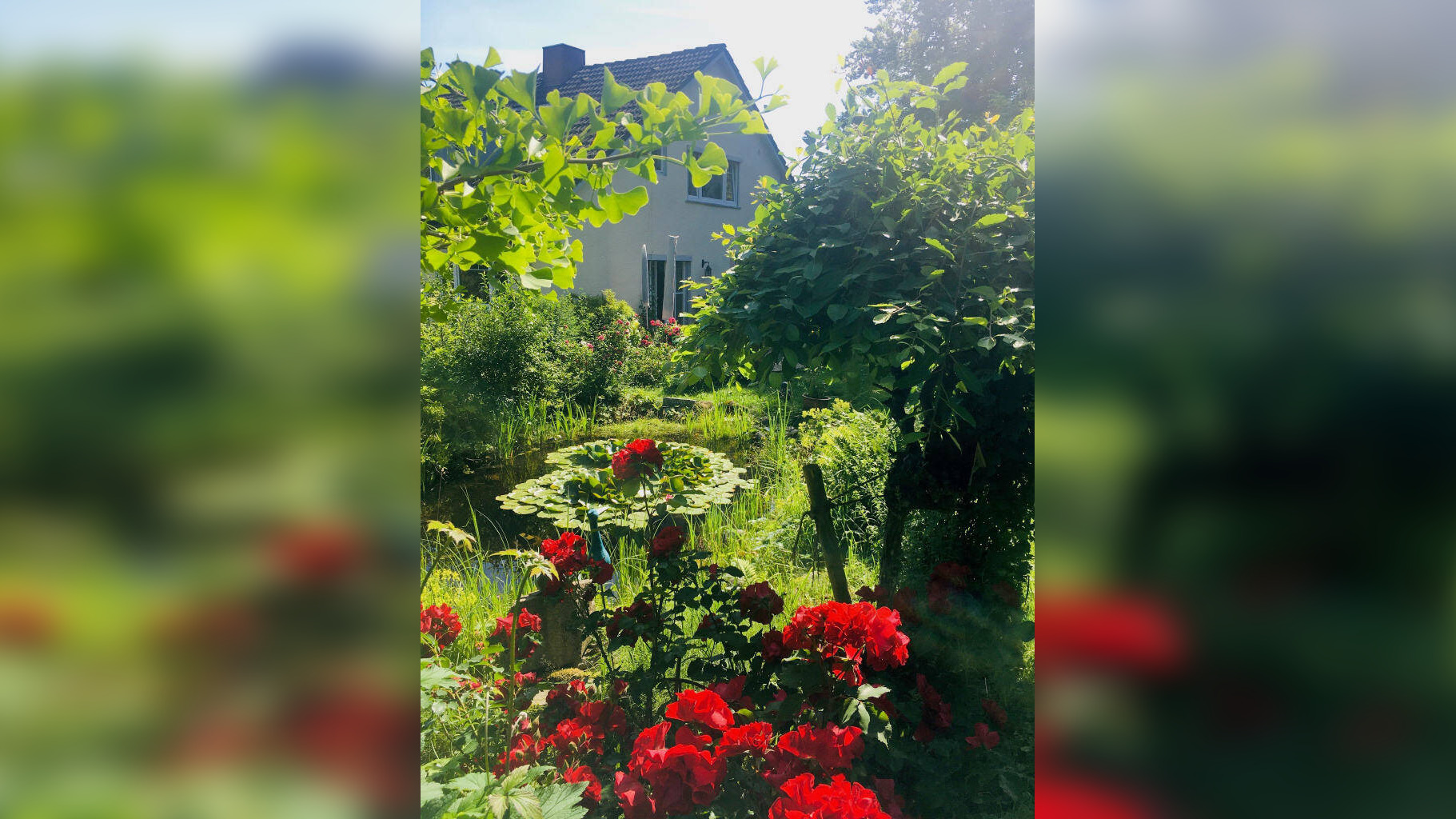 image-68447667