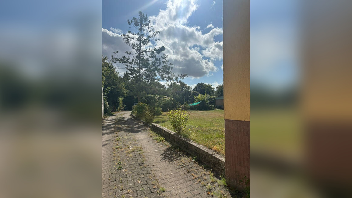 image-68463164