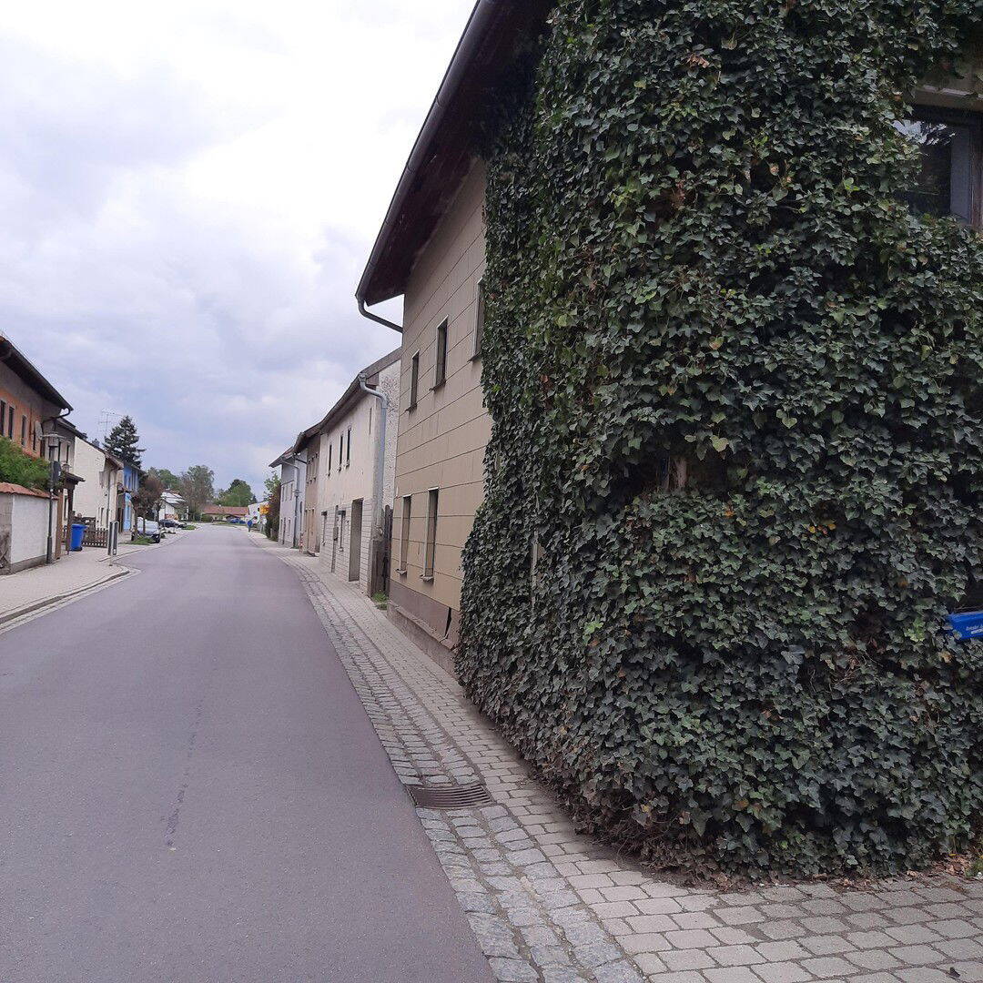 image-68463551