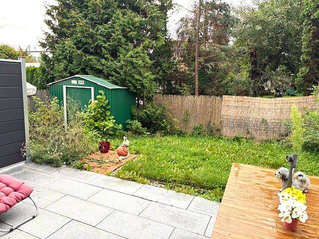 image-68478517