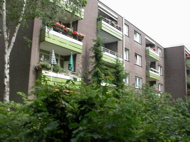 image-68480237
