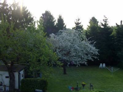 image-68515038