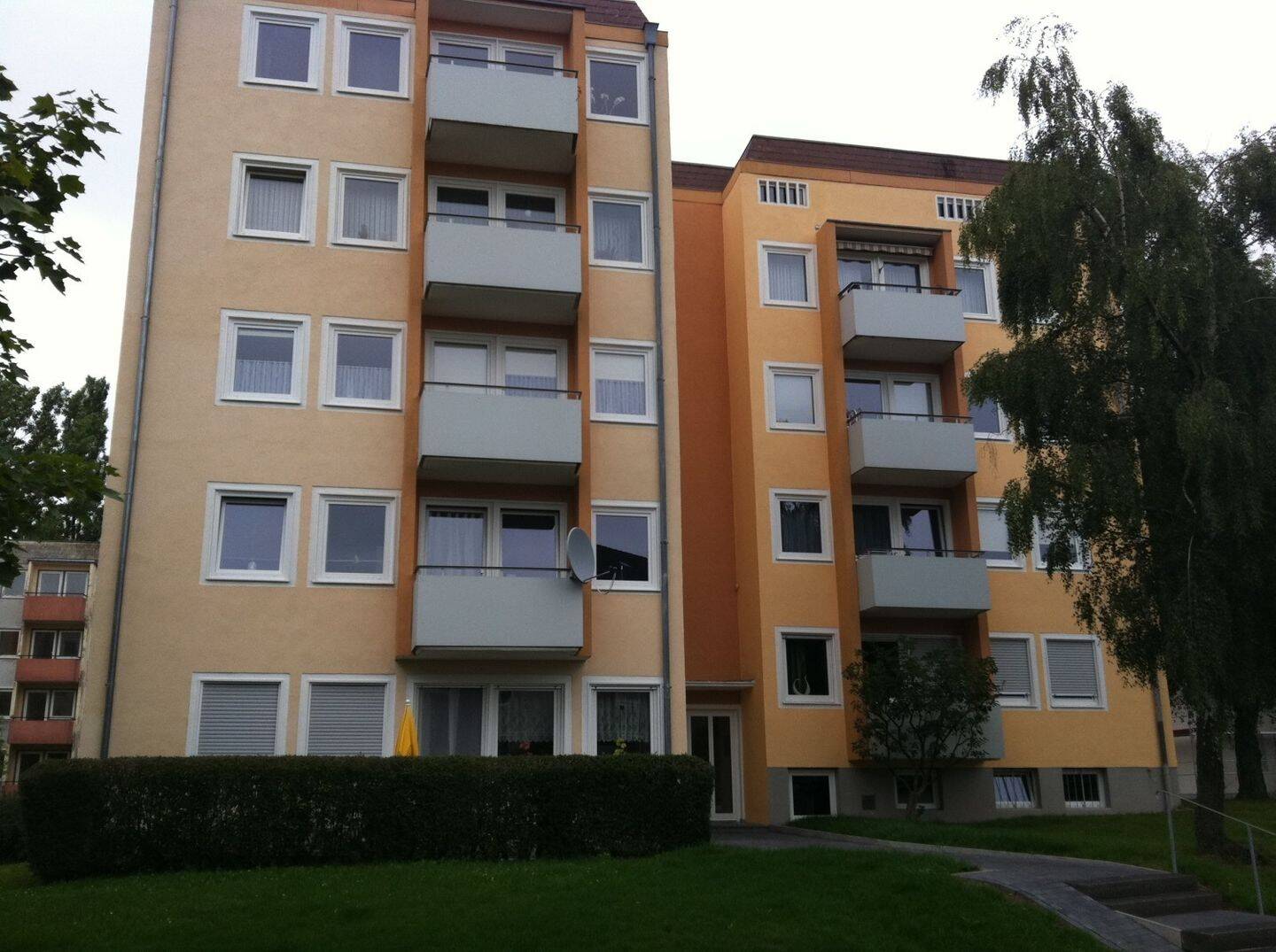 image-68821631