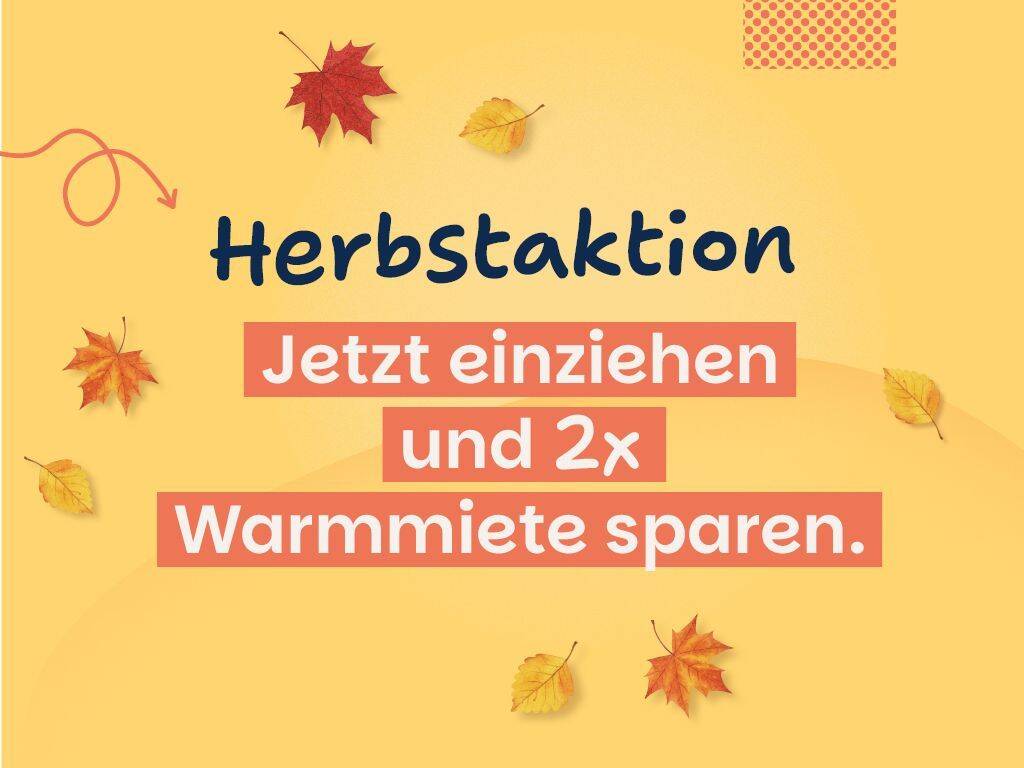 image-68879645