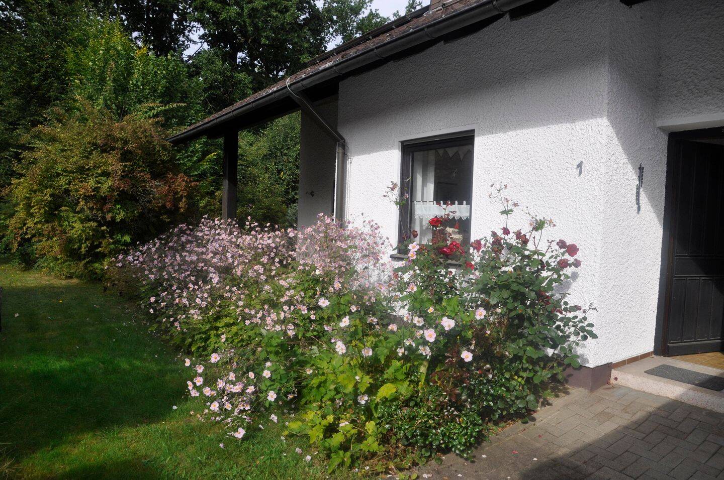 image-68881336